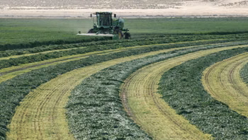 2025 John Deere W260R - Image 18