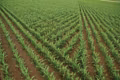 2023 John Deere DB90 36Row30 - Image 2