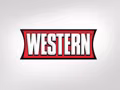 2025 Western Snowplows S500C - Image 20