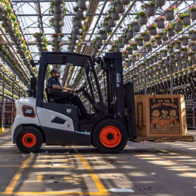 2025 Bobcat D25S-9 - Image 2