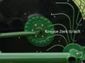 2026 John Deere WR0010 - Image 4